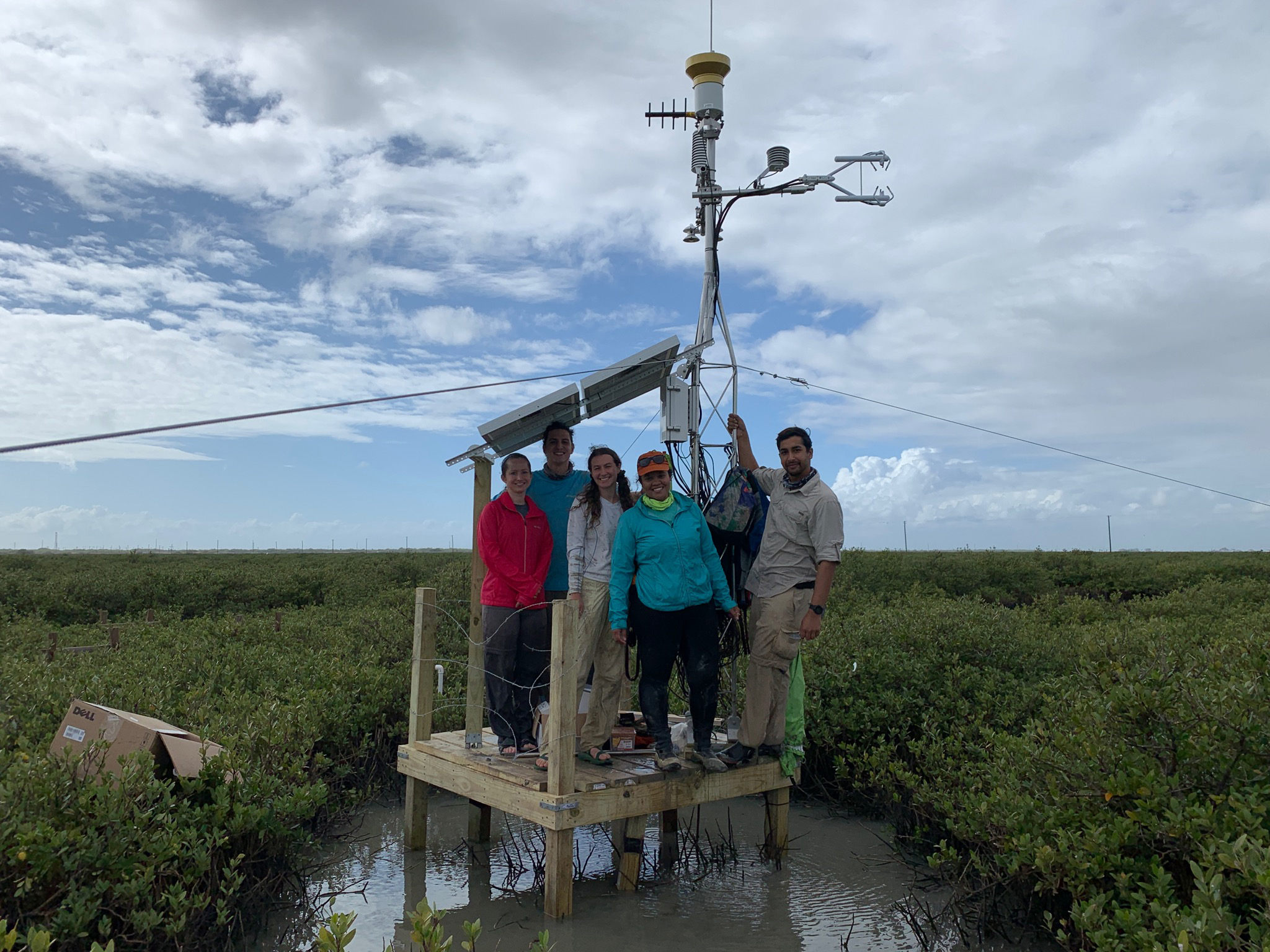 A group of students on a platform for a weather station in the middle of a wetland